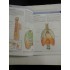 ANATOMY  FOR  STUDENTS * GRAY'S  -  Richard L. Drake * A. Wayne Vogl * Adam W. M. Mitchell 